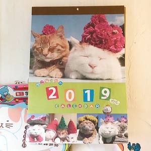 2019 캘린더 고양이 3